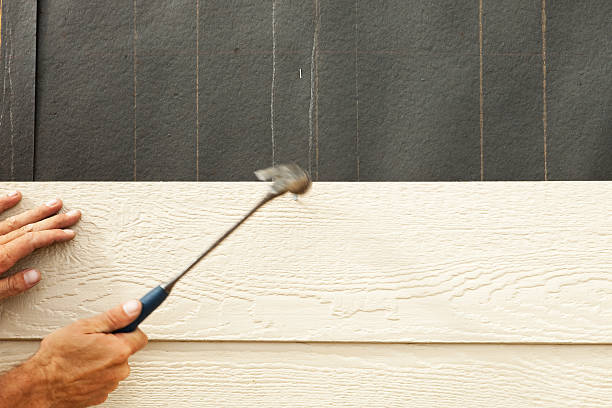 Best Steel Siding Installation  in West Lafayette, OH